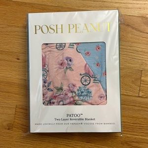 Posh peanut pumpkin carriage and Anna Beth patoo blanket